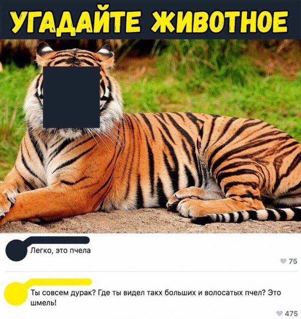 Подборка прикольных фото Подборка прикольных фото