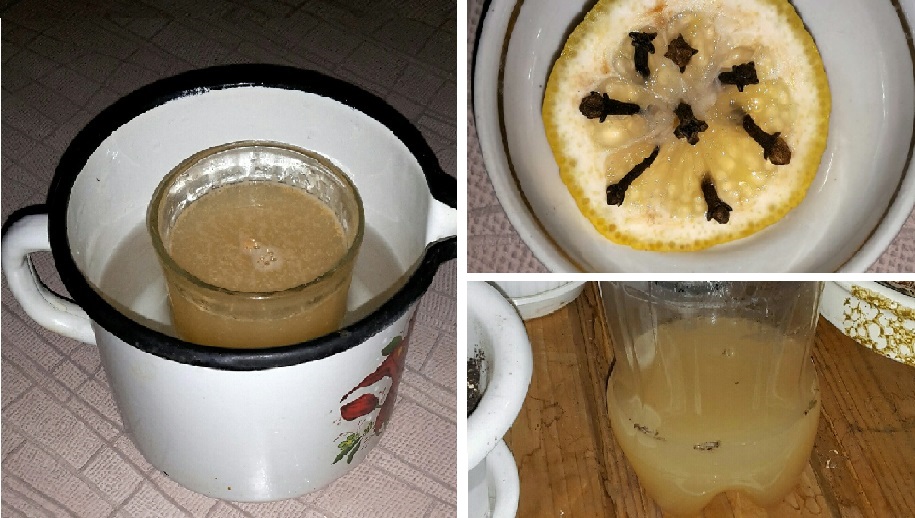 Ловушка для насекомых без вредных химикатов Ловушка для насекомых без вредных химикатов