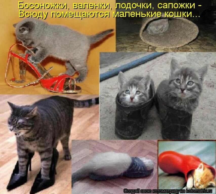 Фото взято из открытого источника Яндекс.Картинки