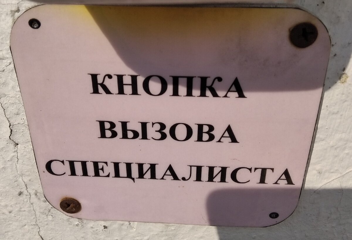 Чем мигранты лучше местных