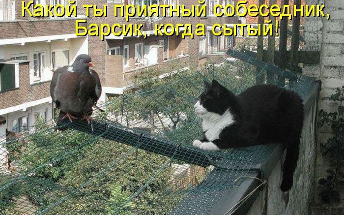 КОТЭ как есть КОТЭ