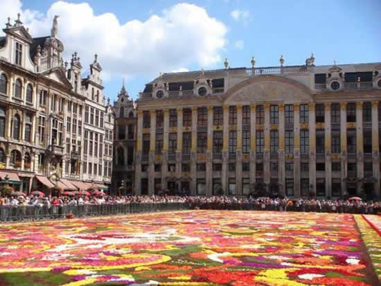 flower carpet1 The Giant Flower Carpet of Brussels 