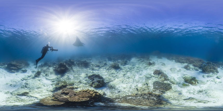 Explore coral reefs 3 Коралловые рифы в фотографиях
