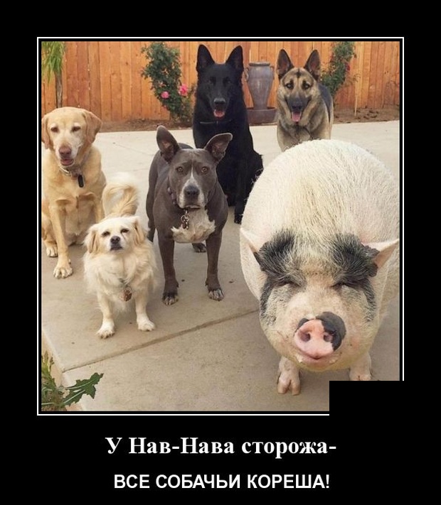 Демотиваторы смешные Демотиваторы смешные