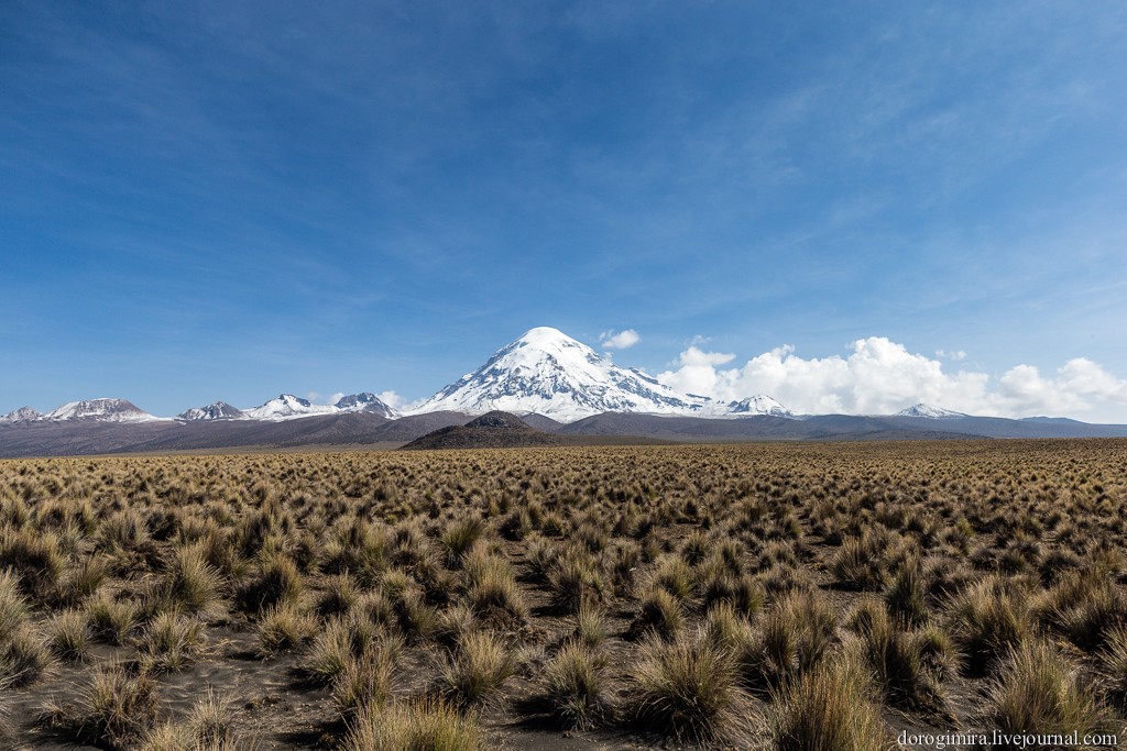 Sajama34 Национальный парк Сахама