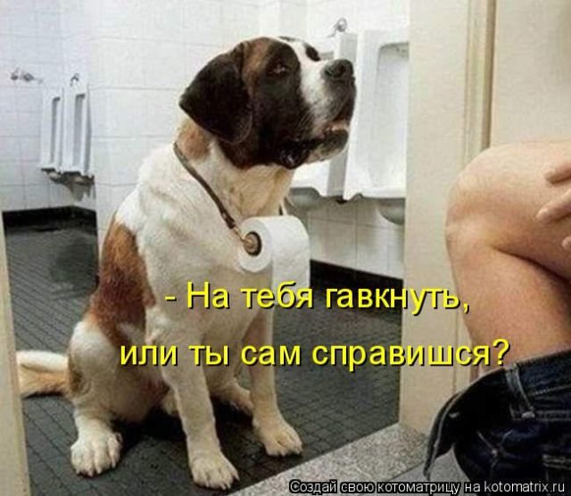 Смешные котоматрицы)) Смешные котоматрицы))