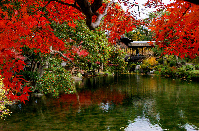 Очей очарованье