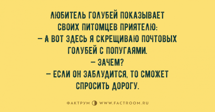 Горячая десятка анекдотов, которую стоит рассказать друзьям Горячая десятка анекдотов, которую стоит рассказать друзьям