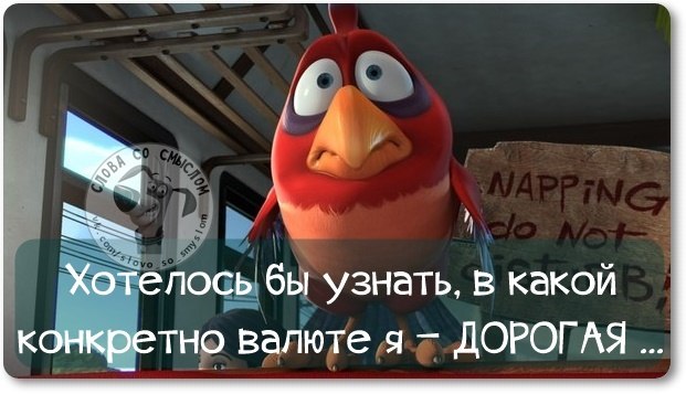 Прикольные фразочки со смыслом (часть 6) Прикольные фразочки со смыслом (часть 6)