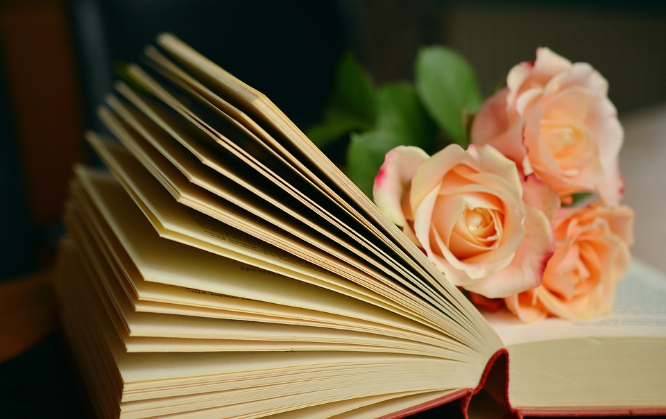 Срок возврата книг в библиотеках района Лефортово продлен до 31 мая