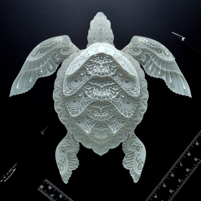 Филиппинский мастер создаёт минималистические 3D-портреты редких животных Филиппинский мастер создаёт минималистические 3D-портреты редких животных