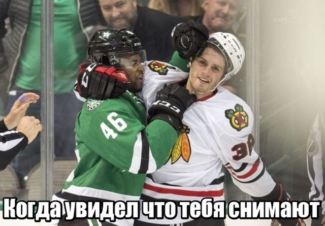Подборка картинок Подборка картинок