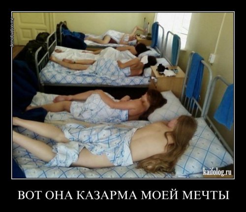 Демотиваторы - 110 (50 фото)