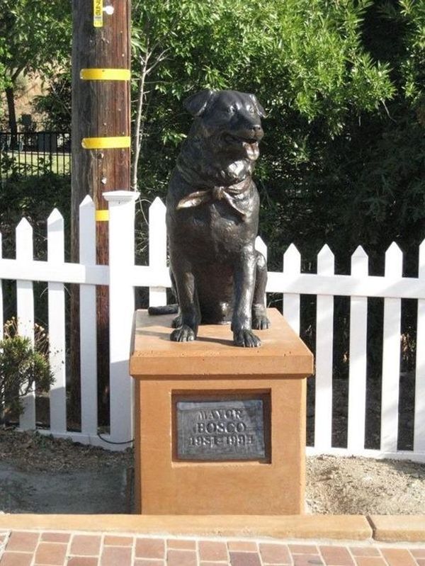 4 ��������, ������� ��������������� �� ���� ����� � ��������! (4 ����)