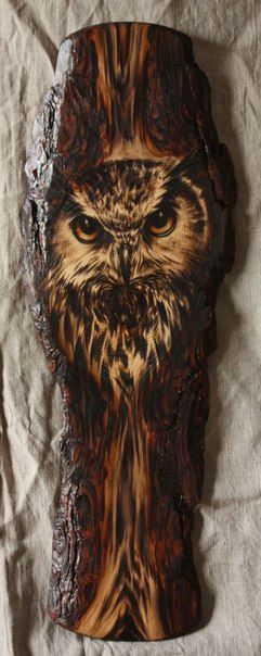 красота, фото, интересное