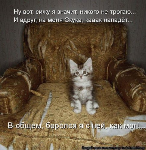 Милая котоматрица