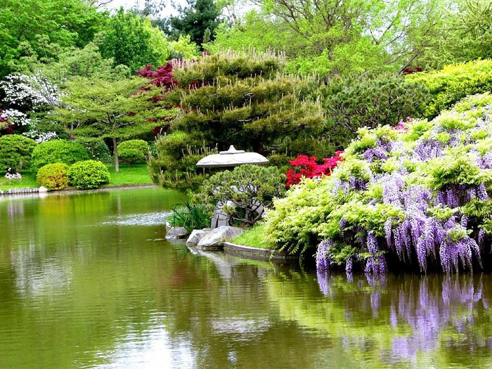 Японский сад (97) (700x525, 393Kb)