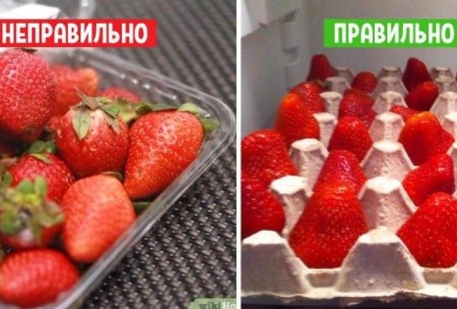 как хранить овощи и фрукты в холодильнике
