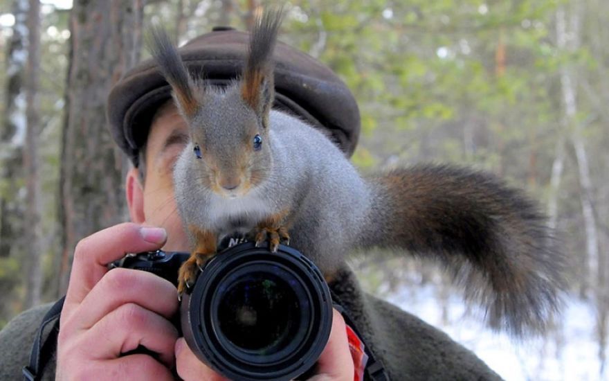 Фотограф