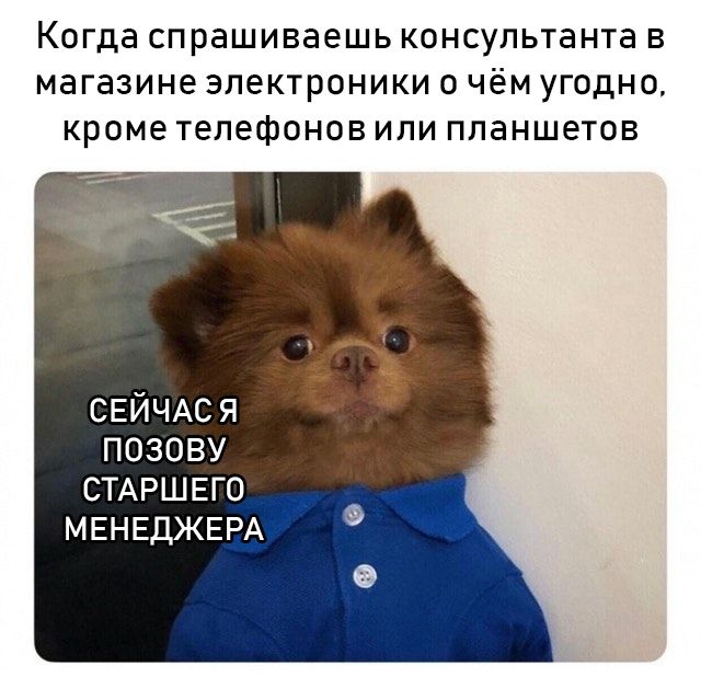 Подборка прикольных фото Подборка прикольных фото