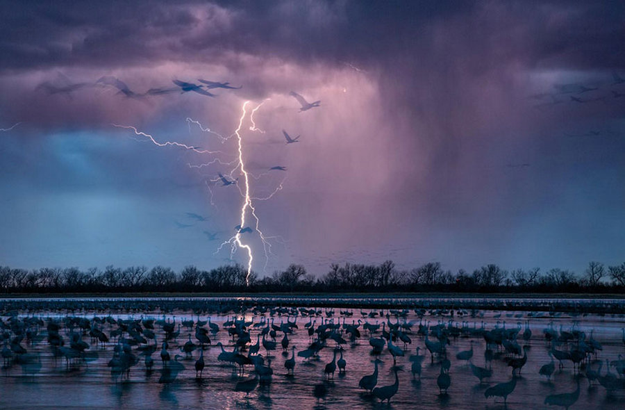 20 лучших фотографий 2016 года по версии National Geographic