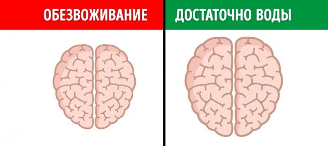 Как мы сами влияем на наш мозг