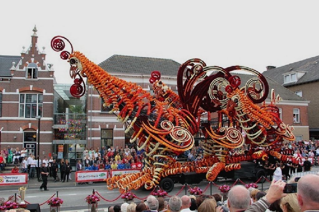 NewPix. ru -    Bloemencorso