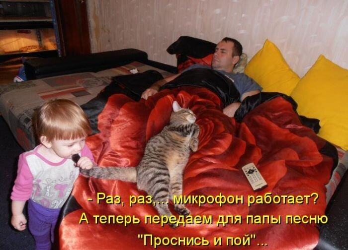 Фото взято из открытого источника Яндекс.Картинки