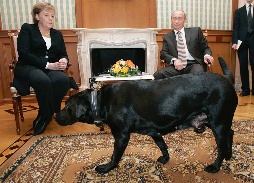 Русская служба Би-би-си вспоминает, каких животных  дарили Путину.