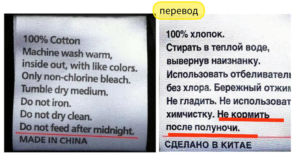 Так и разбирает попробовать покормить. Интересно, что же будет? 