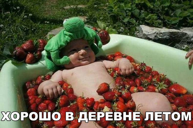 Смешные и свежие картинки с надписями до слез (12 фото) Смешные и свежие картинки с надписями до слез (12 фото)