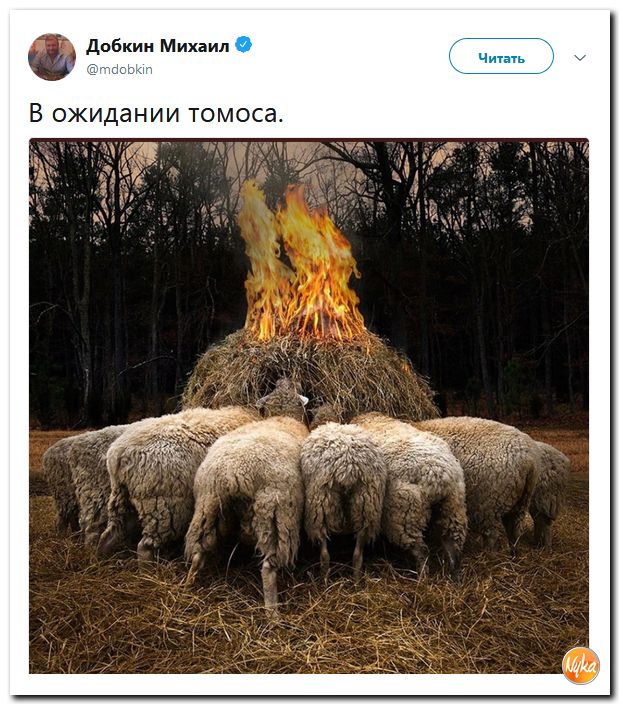 Кокорный мамай!!! Обо всем понемногу с юмором и ехидными комментариями Кокорный мамай!!! Обо всем понемногу с юмором и ехидными комментариями