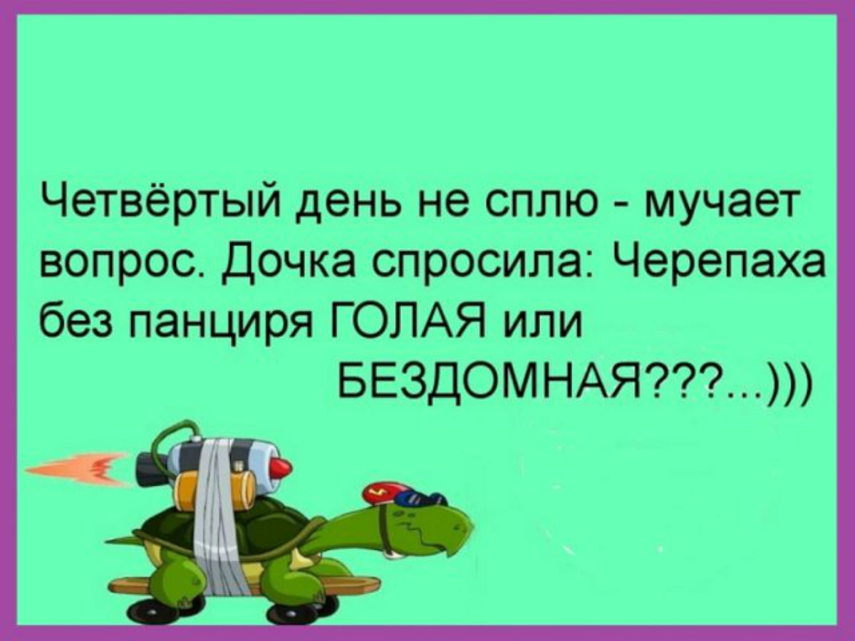 Зашла к мужу на одноклассники с новой странички, познакомились... Подборка анекдотов Зашла к мужу на одноклассники с новой странички, познакомились... Подборка анекдотов