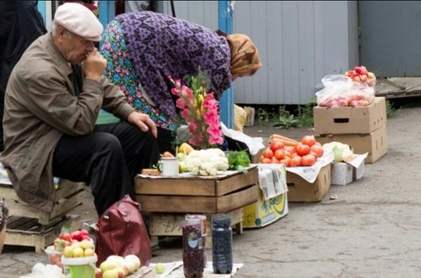 "Единая Россия" придумала налог на огород. "Единая Россия" придумала налог на огород.