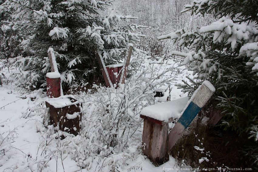 факты, фото, интересное