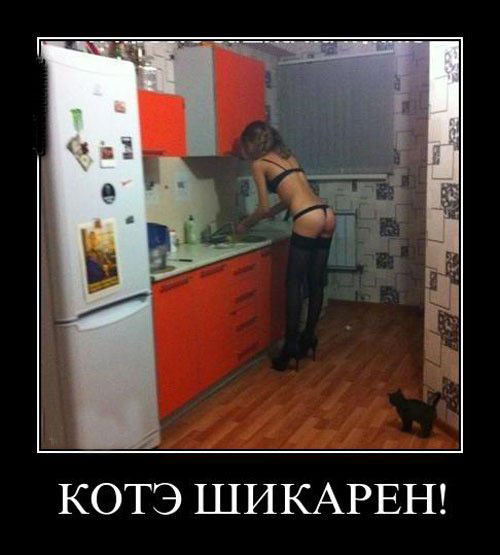 Забавные и веселые демотиваторы для улыбки (12 фото) Забавные и веселые демотиваторы для улыбки (12 фото)