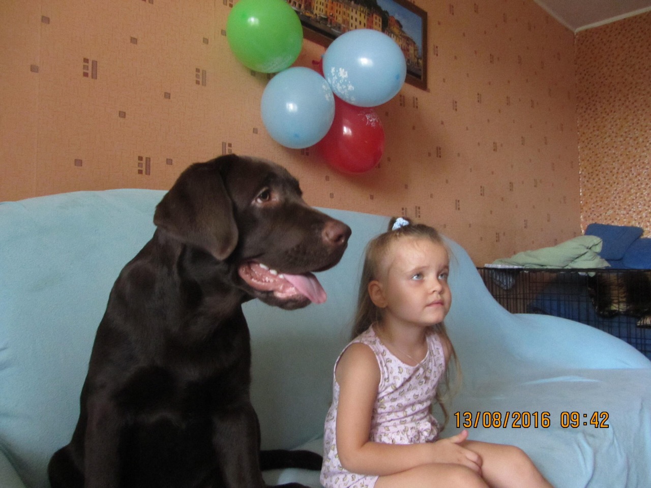 Уходит год собаки... Такой красивой осенью... Уходит год собаки... Такой красивой осенью...