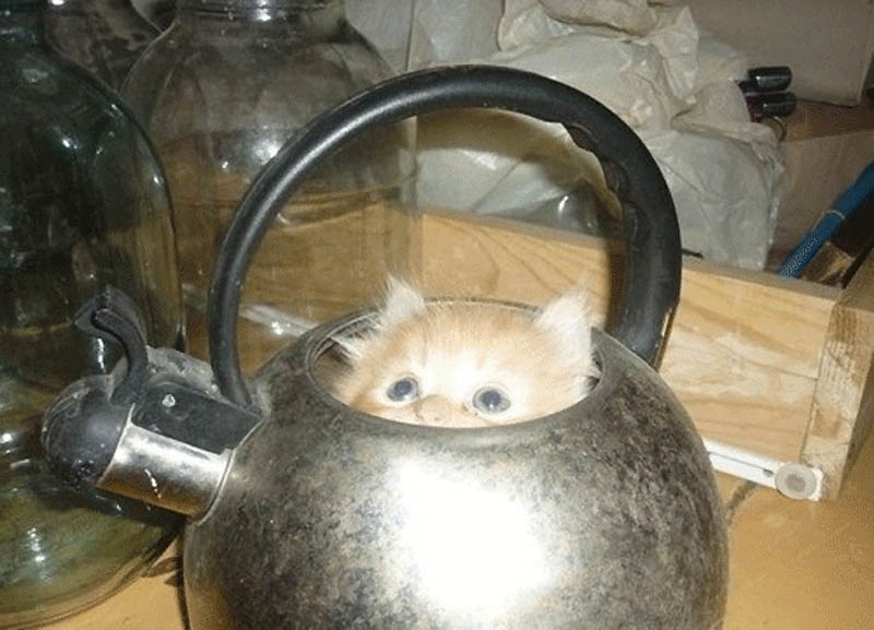 324         