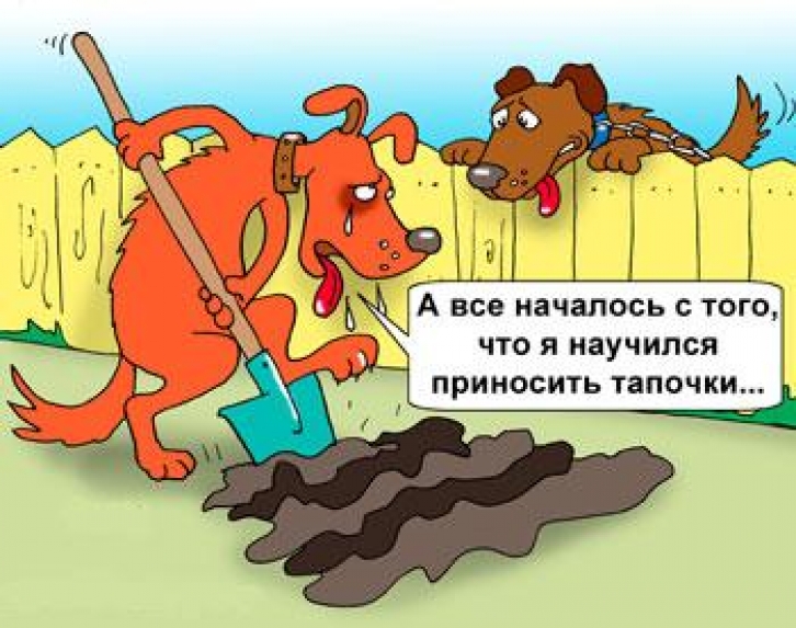 Анекдот про собаку