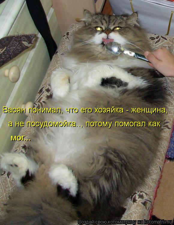 И снова котоматрица!!! И снова котоматрица!!!