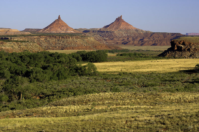 Priceless fossils and fossilized tracks of ancient animals can be found in Indian Creek.