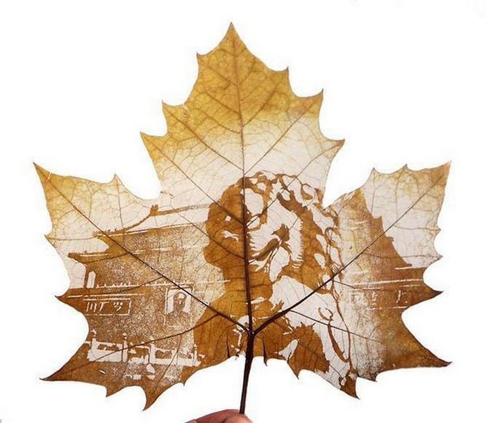 лист, рисунок, удивительно, осень