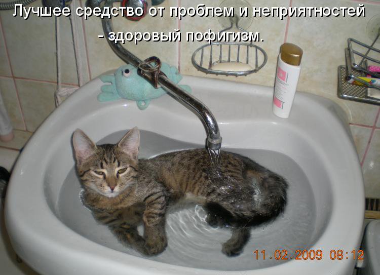 КОТЭ как есть КОТЭ