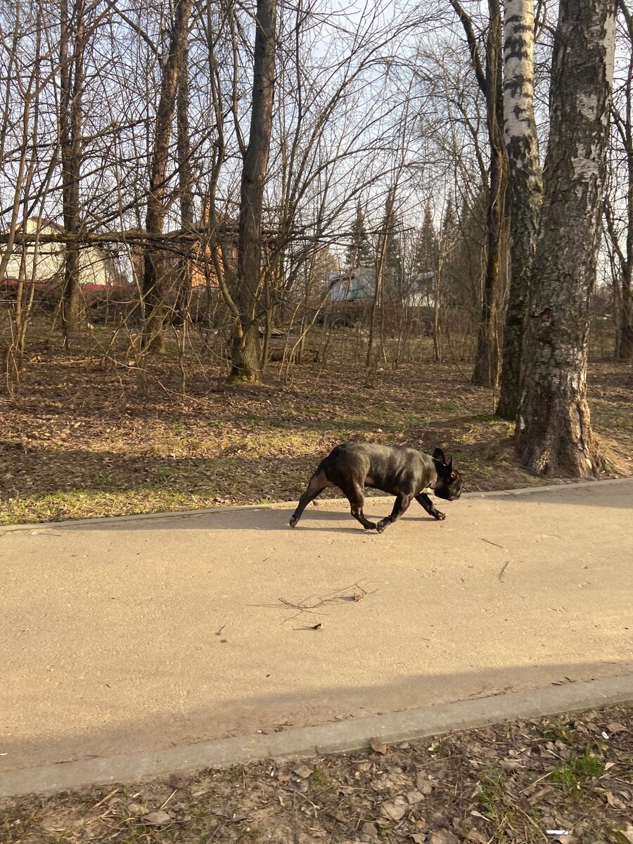 Сколько "кобеля" не стереги, он всё равно с поводка соскочит.