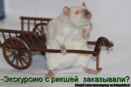 Наши подарки уже едут к вам 163 Наши подарки уже едут к вам 145