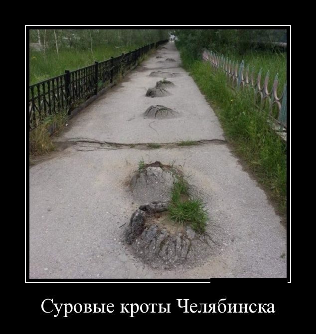Демотиваторы дня. Супер Демотиваторы дня. Супер