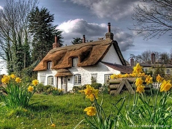 EAgaTTe-JqQ (604x454, 258Kb)