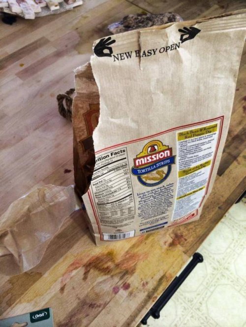 Почти получилось (29 фото) Почти получилось (29 фото)