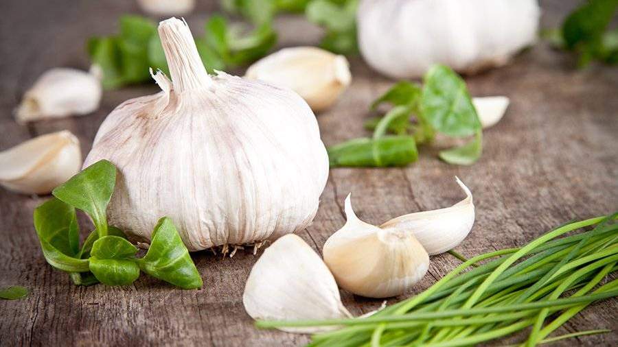 Ученые-диетологи назвали худшие добавки для долголетия