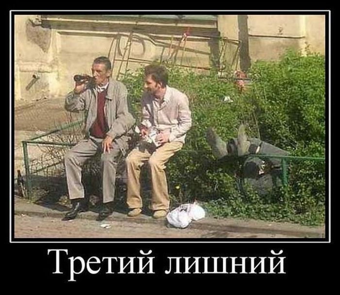 Демотиваторы (30 фото)